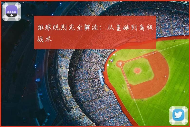 排球规则完全解读：从基础到高级战术