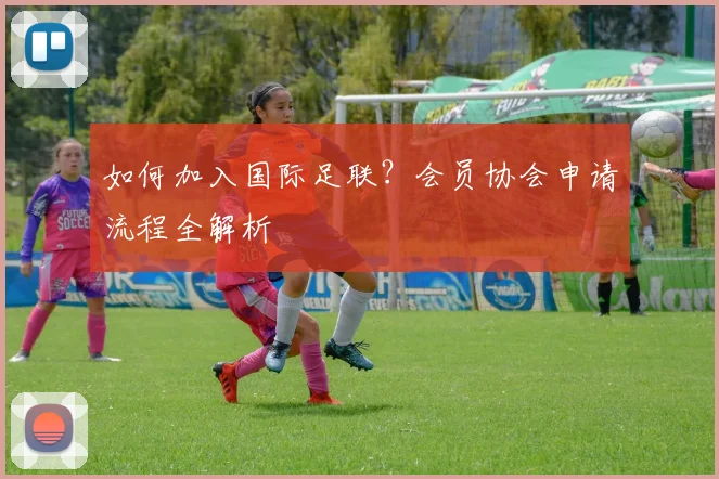 如何加入国际足联?会员协会申请流程全解析