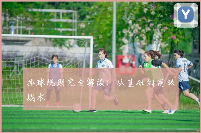排球规则完全解读:从基础到高级战术